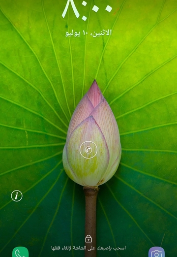 احمد (@e3fmqjt9pn) — my photo № 1