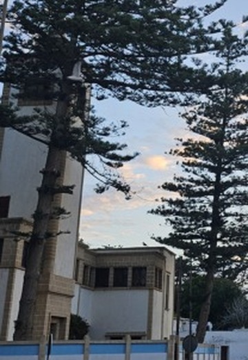 Khalid (@khalid950) — my photo № 2