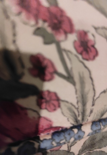 roy (@9gpquzeac8) — my photo № 1