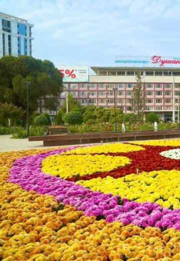 Hodjimurod (@hodjimurod2) — my photo № 1