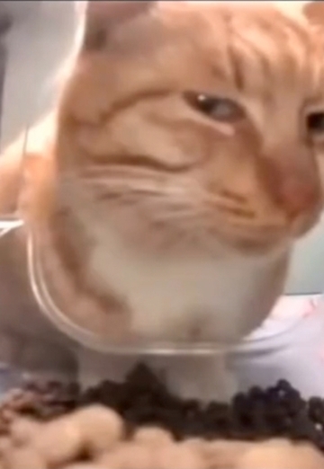 Laurentino (@laurentino0) — my photo № 2