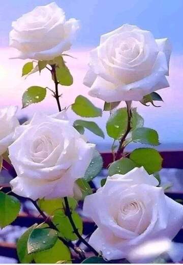 ابو (@9u4z2c7vql) — my photo № 2