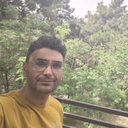 Mehrzad 42 Shiraz