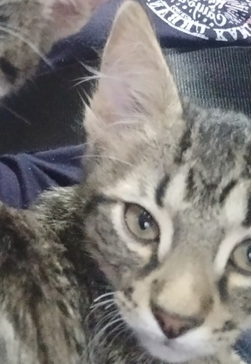 Mauricio Aldana (@mauro263) — my photo № 3