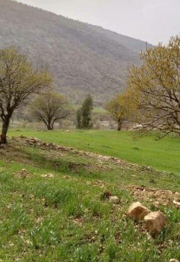 Kuross (@kuross) — my photo № 2