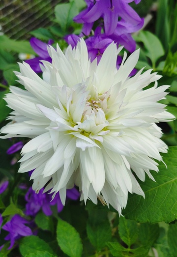 Кер (@ker157) — моя фотография № 1