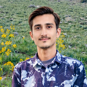 Zulfiqar Ali 22 Gilgit