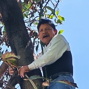 Manuel 63 San Borja
