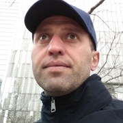 giorgi 41 Seattle