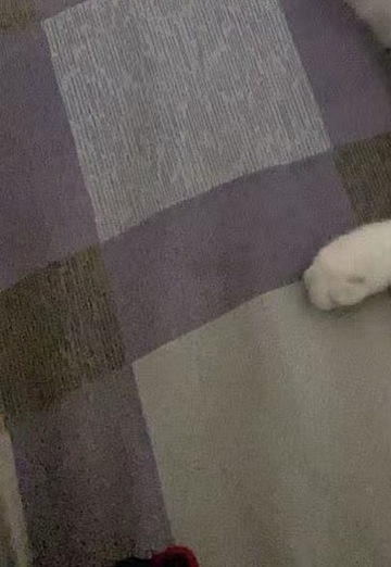 Harry (@harry2267) — my photo № 4