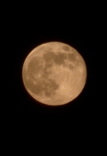 Hada (@hada15) — my photo № 1