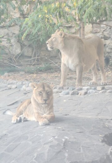 Khalid (@khalid875) — my photo № 1