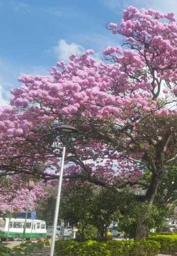 Angel (@angel18119) — my photo № 2