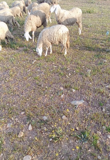 Fateh (@fateh94) — my photo № 2