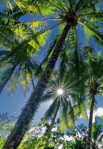 Komil (@komil2075) — моя фотография № 1