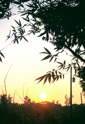 Md (@md944) — my photo № 2