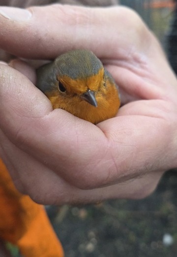 Marcel (@marcel626) — my photo № 1