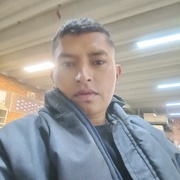 Pitis julio 33 Colombia