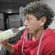 Daniel 42 Rosario
