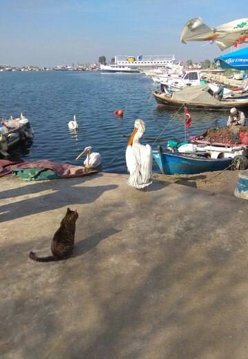 Zafer (@zafer143) — my photo № 17