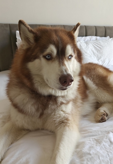 Anurag (@anurag137) — my photo № 3