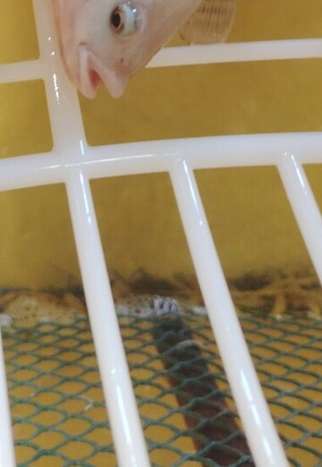 majed (@majed106) — my photo № 1